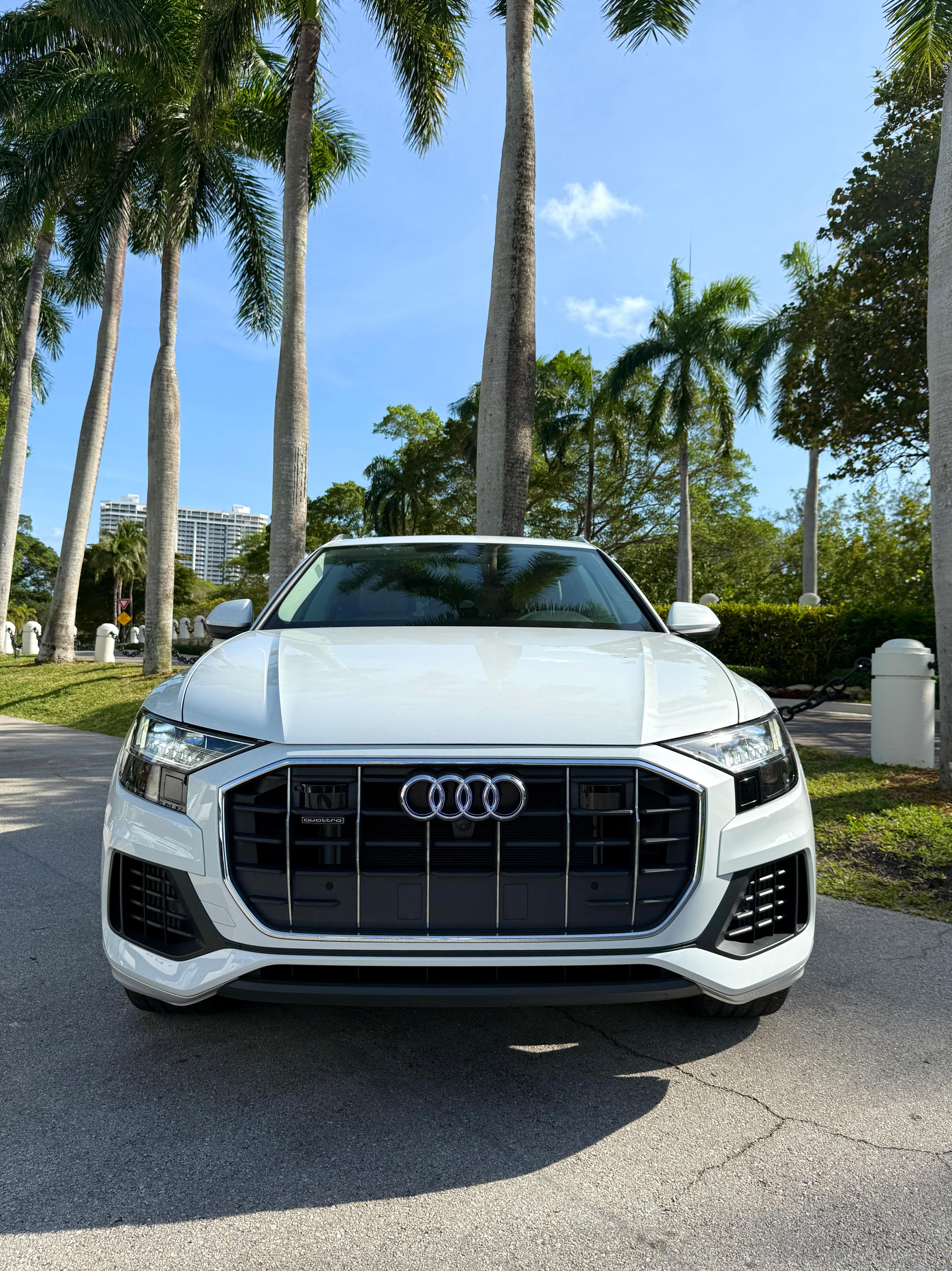 Audi Q8 Blanca