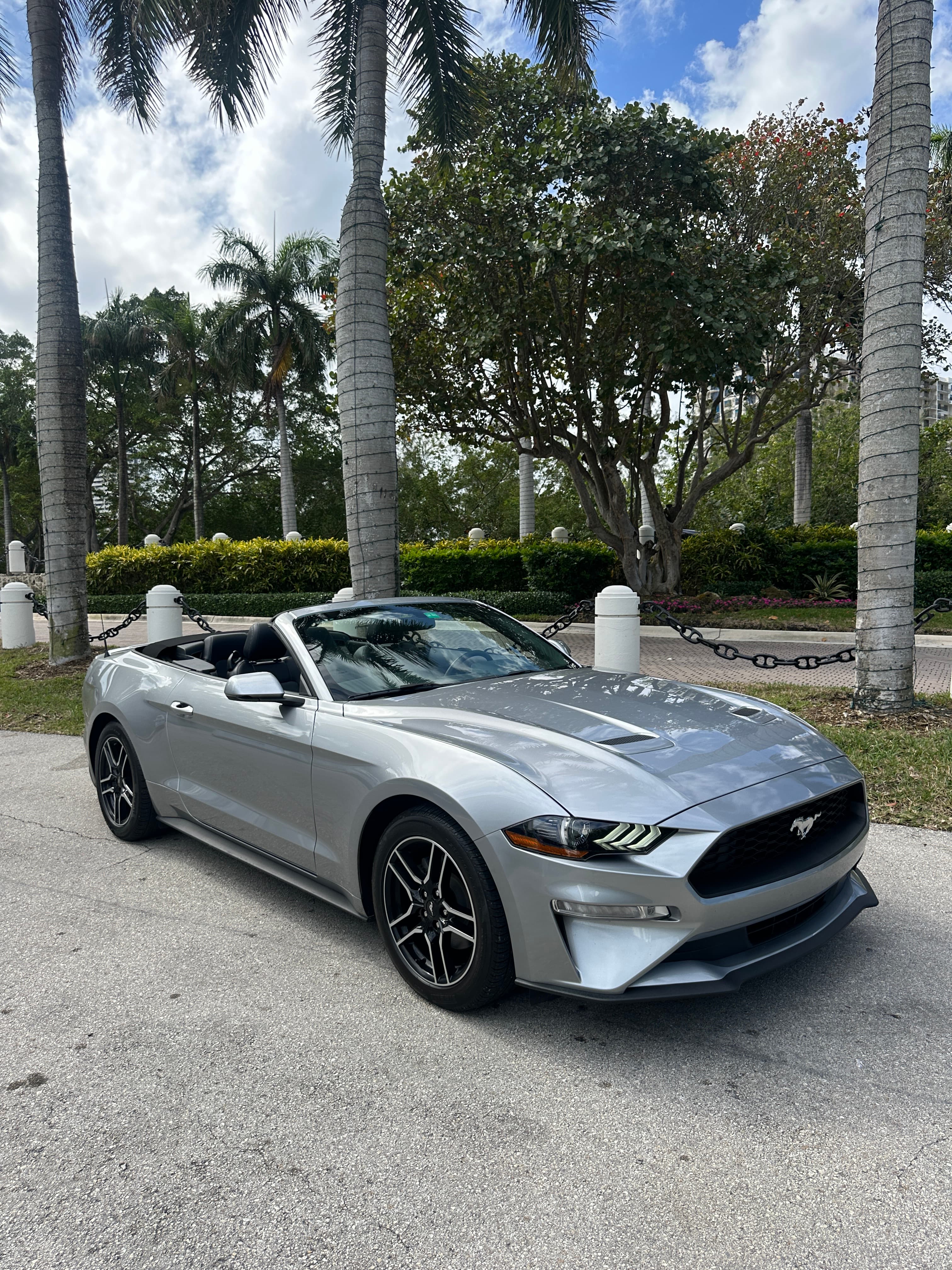 Ford Mustang Grey